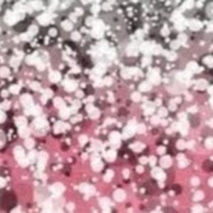 Meet your Posher, Princess